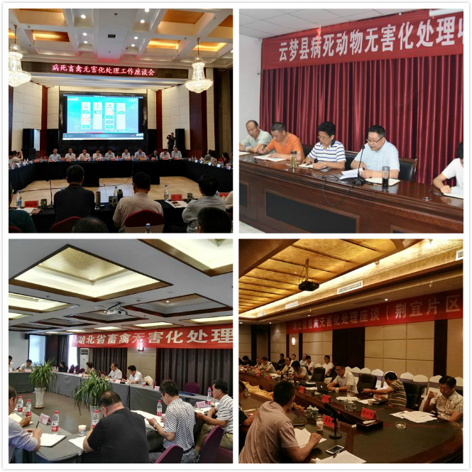 雪國制冷，武漢冷庫，武漢制冷，武漢冷庫公司，小型冷庫，冷庫設計