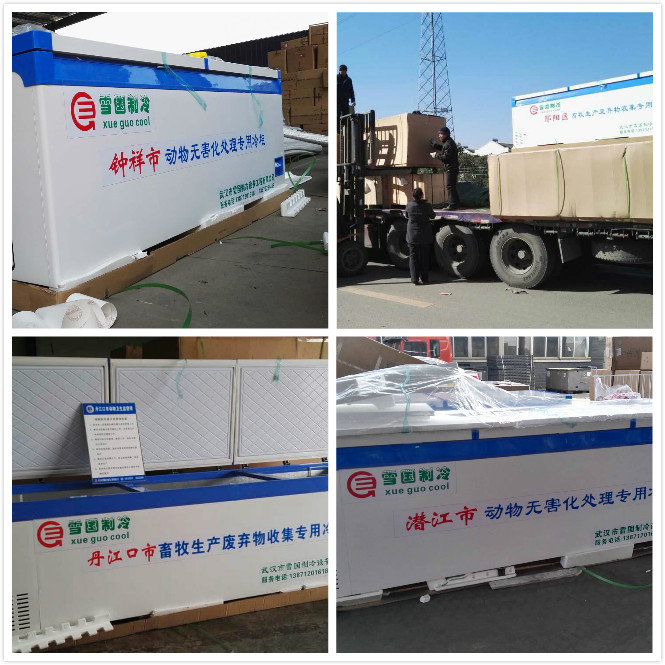 雪國制冷，武漢冷庫，武漢制冷，武漢冷庫公司，小型冷庫，冷庫設計