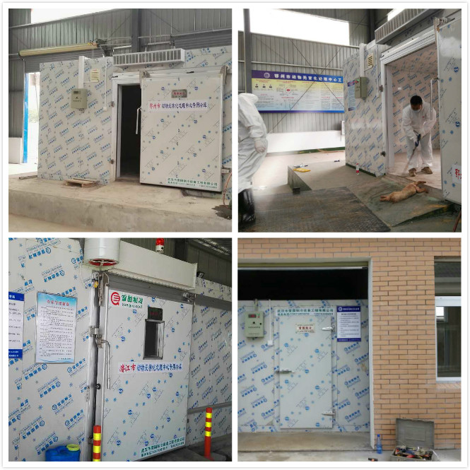 雪國制冷，武漢冷庫，武漢制冷，武漢冷庫公司，小型冷庫，冷庫設計