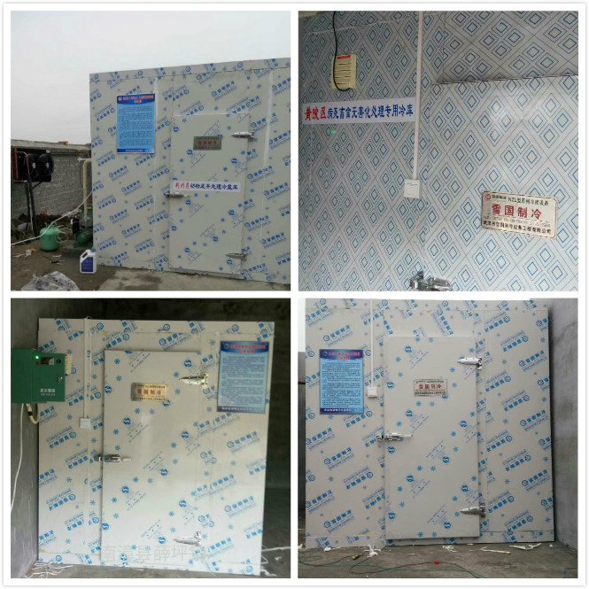 雪國制冷，武漢冷庫，武漢制冷，武漢冷庫公司，小型冷庫，冷庫設計