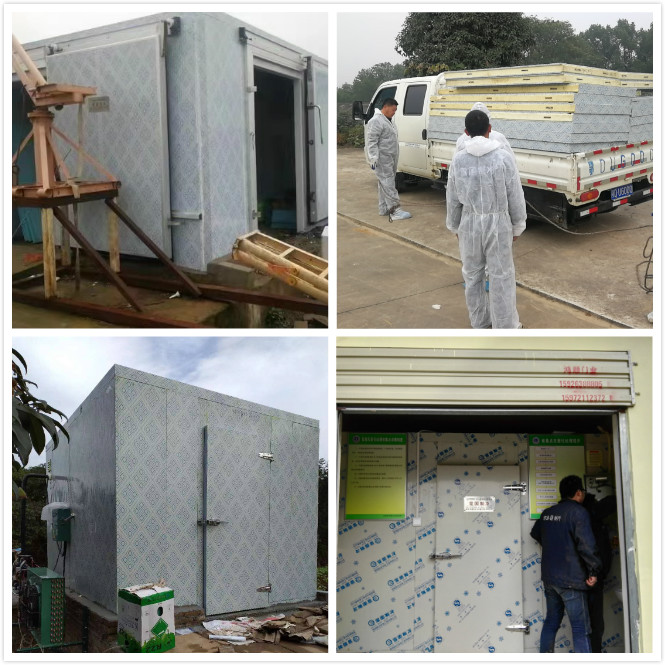 雪國制冷，武漢冷庫，武漢制冷，武漢冷庫公司，小型冷庫，冷庫設計