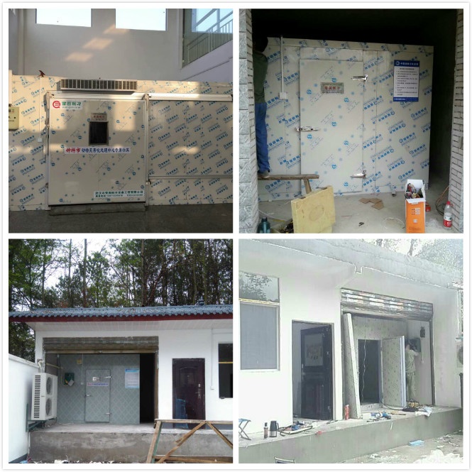 雪國制冷，武漢冷庫，武漢制冷，武漢冷庫公司，小型冷庫，冷庫設計