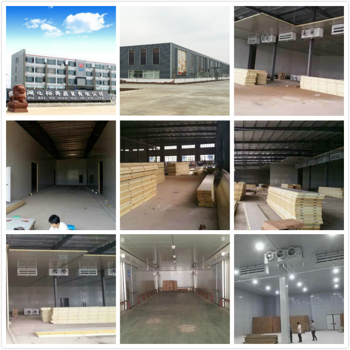 雪國制冷，武漢冷庫，武漢制冷，武漢冷庫公司，小型冷庫，冷庫設計