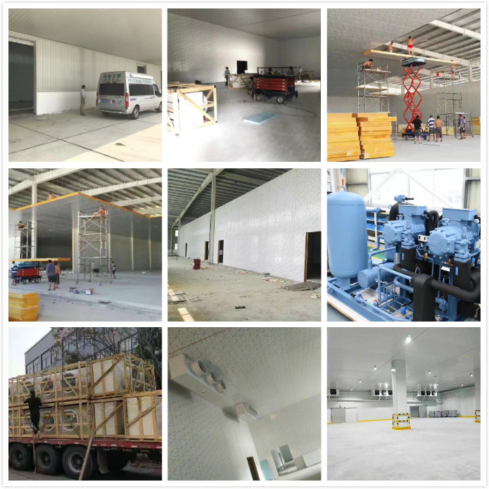 雪國制冷，武漢冷庫，武漢制冷，武漢冷庫公司，小型冷庫，冷庫設計